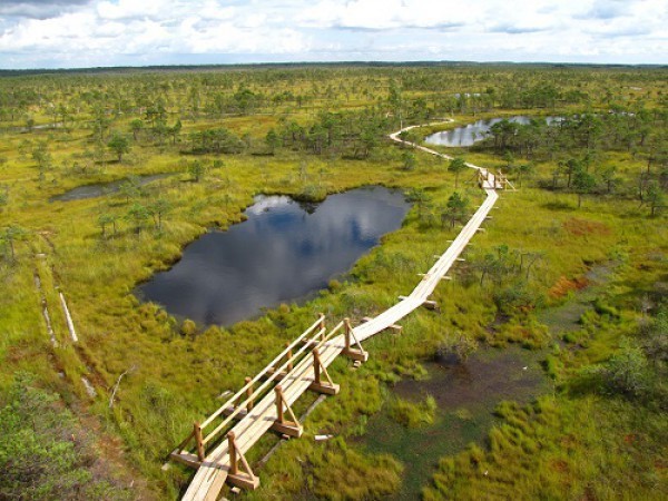 Foto: www.jurmala.lv