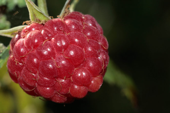 Foto: freeimages.com