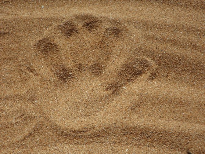 Foto: pixabay.com