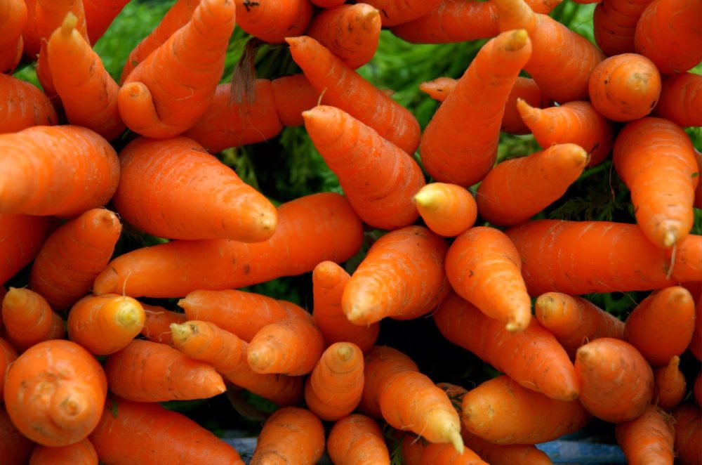 Foto: freeimages.com