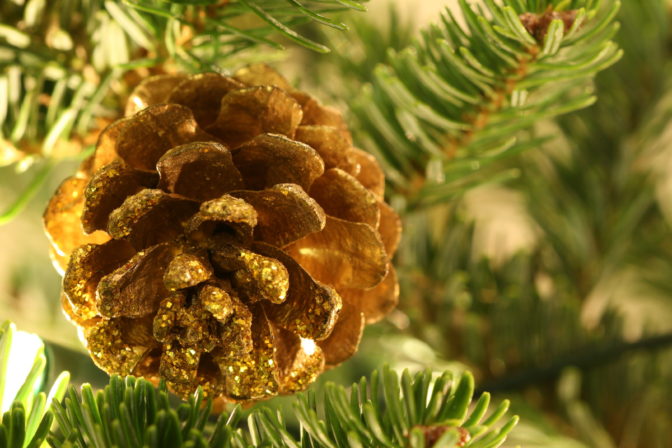Foto;:freeimages.om
