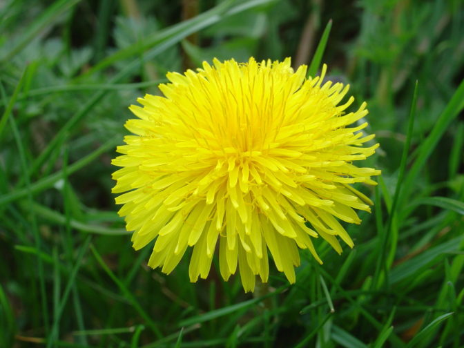 Foto: freeimages.com