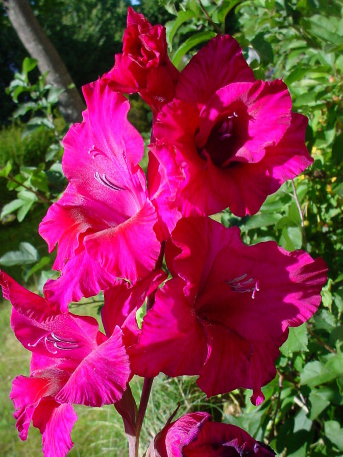 Foto: freeimages.com