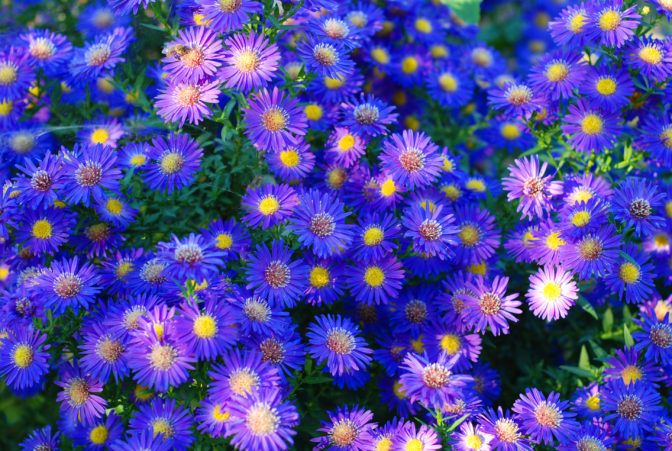 Foto: freeimages.com