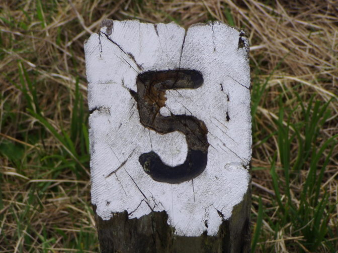 Foto: freeimages.com