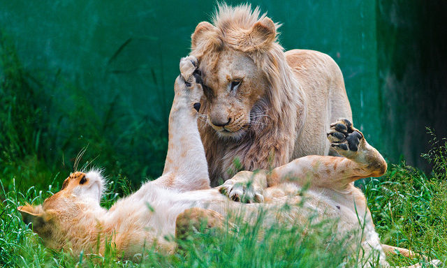 Foto: Flickr