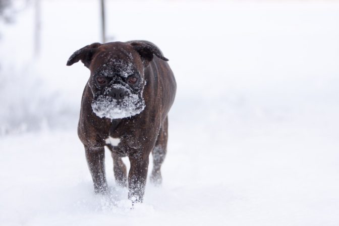 Foto: Arnis Vanags