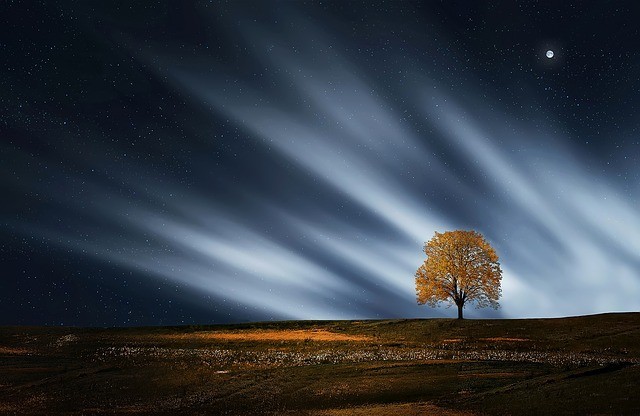 Foto: Pixabay