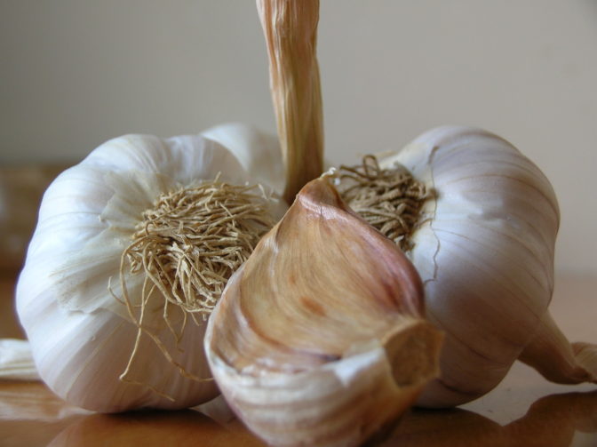 Foto: freeimages.com