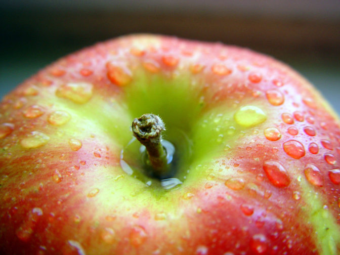 Foto: freeimages.com