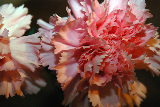 Foto: freeimages.com