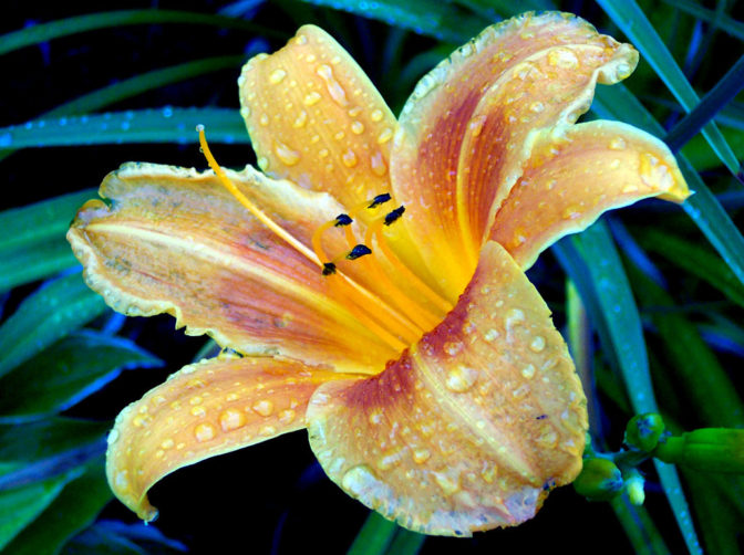 Foto: freeimages.com