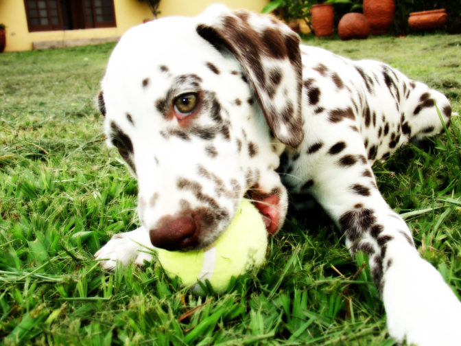 Foto; freeimages.com