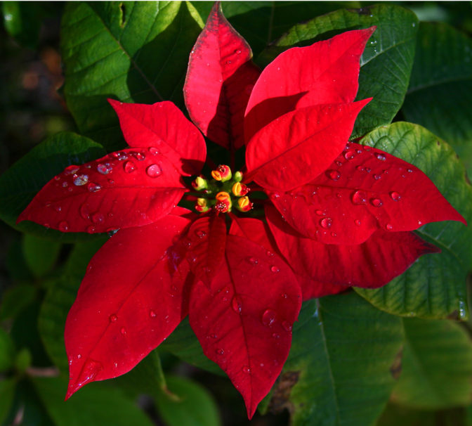 Foto; freeimages.com
