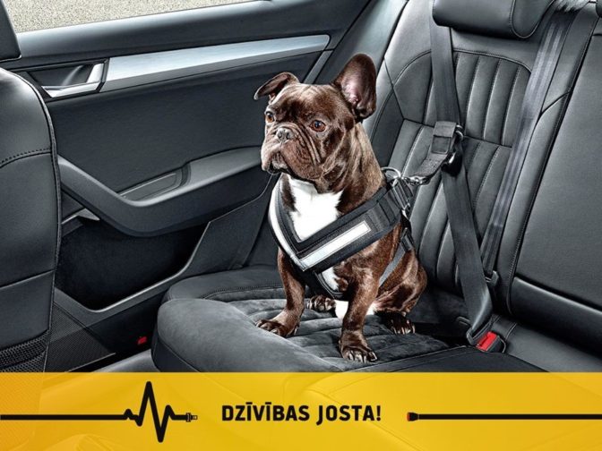 Foto avots: Labās mājas Juglā