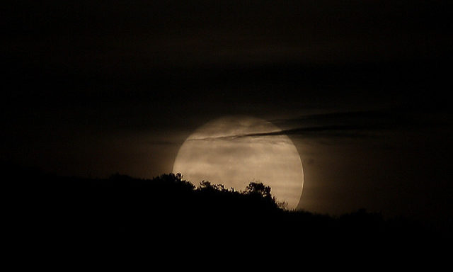 Foto: Visualhunt