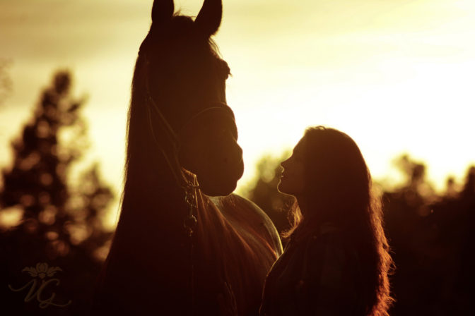 Foto: visualhunt.com