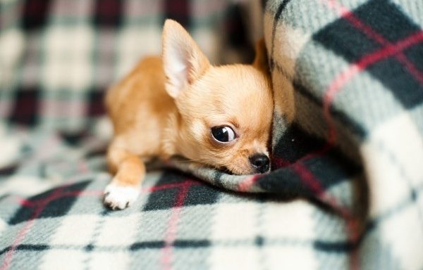Foto: Visualhunt