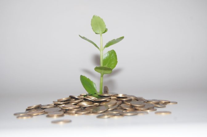 Foto: visualhunt.com