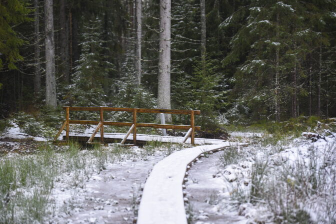 purezers_20201120