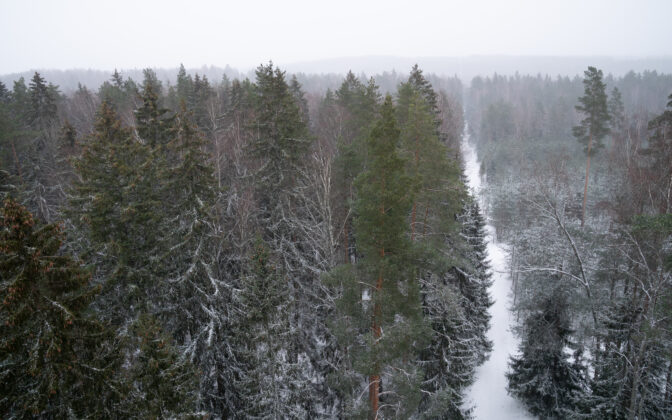 ogre_skatu.tornis_20220102