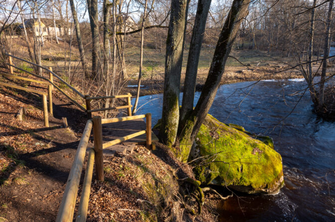 vizla_20210410