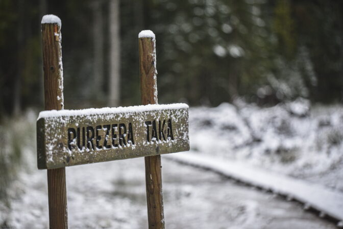 purezers_20201120