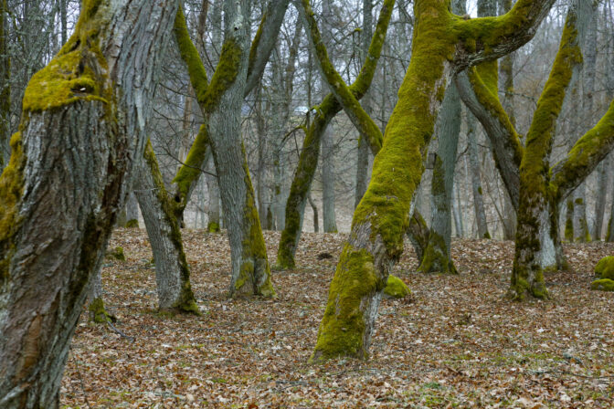 Valtenbergu_20190412