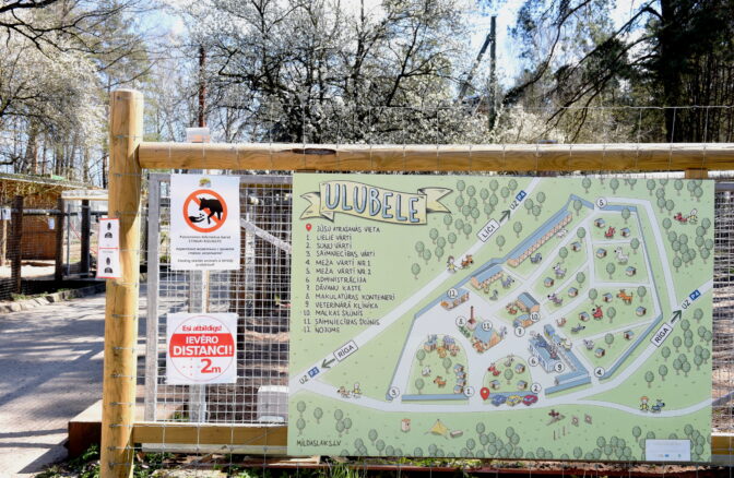 Biedrība Dzīvnieku pansija 
