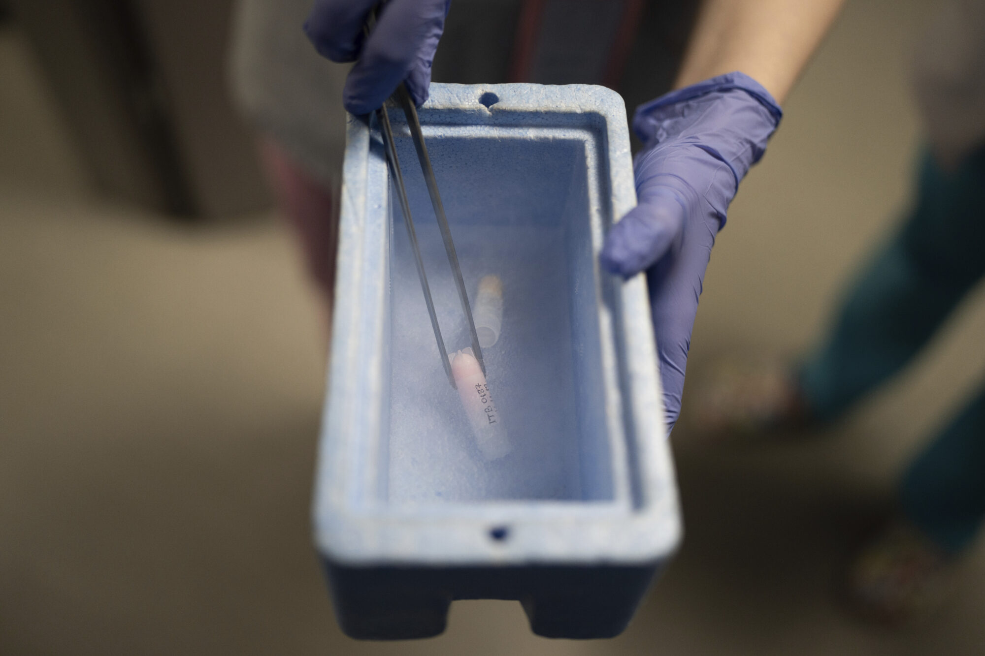 Ukraine Soldiers Freeze Sperm