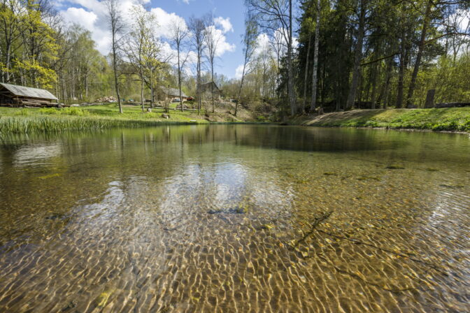 Mezmuiza_20200507