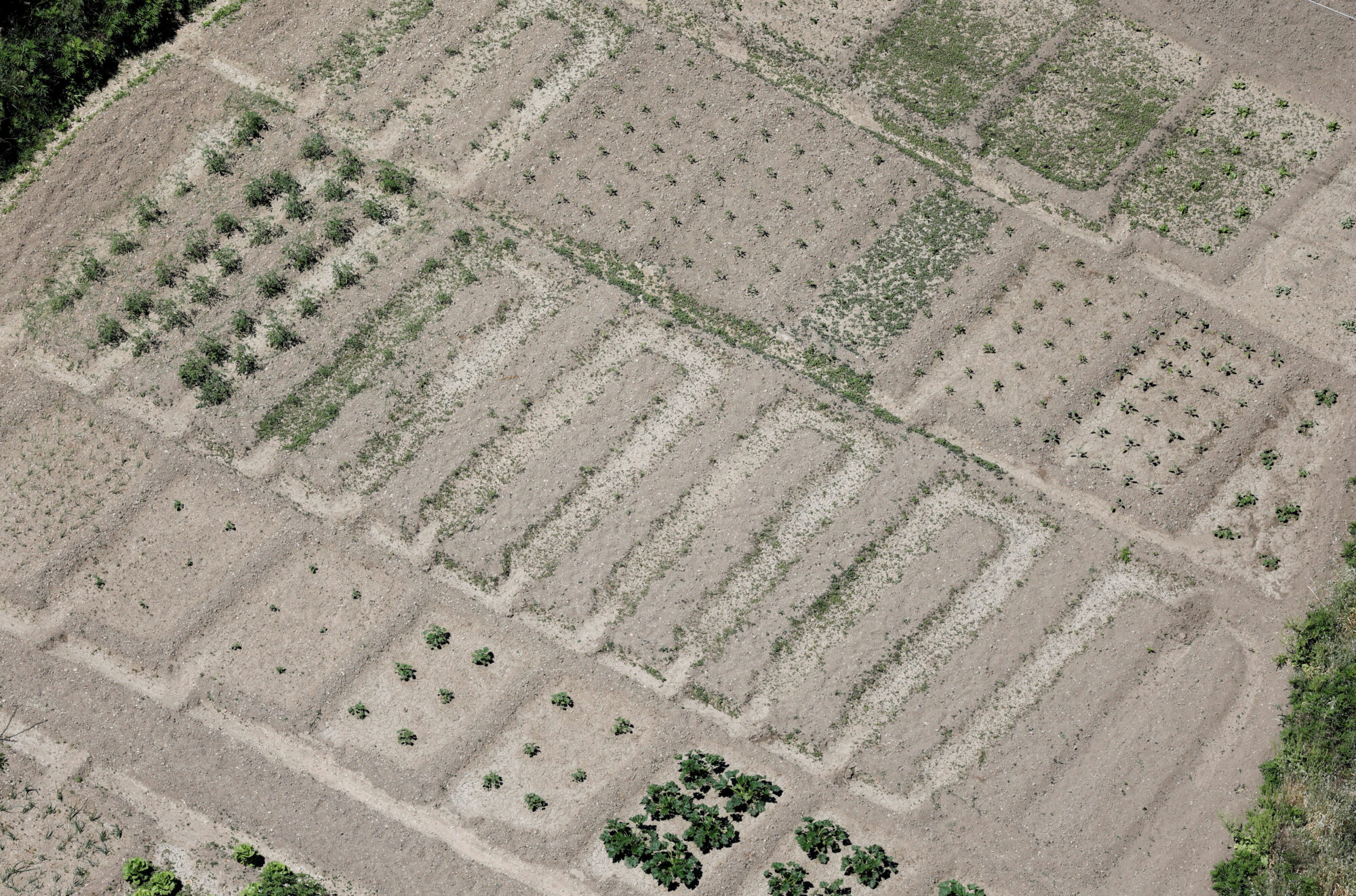 EUROPE-WEATHER/SPAIN-DROUGHT
