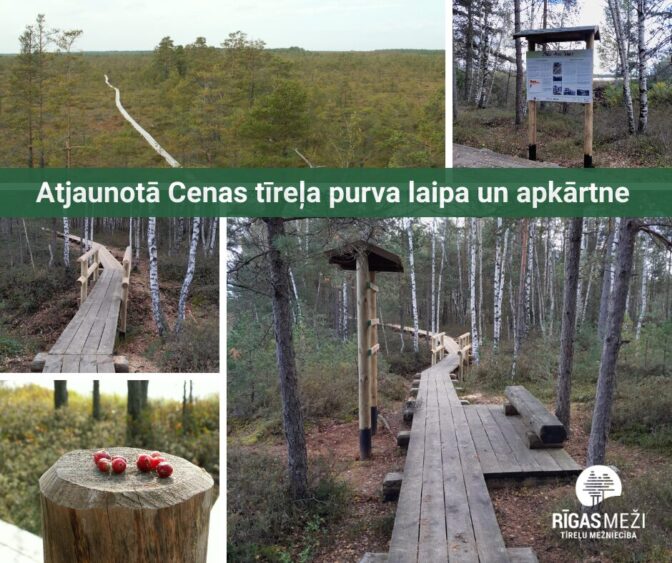 Atjaunot? Cenas t?re?a purva laipa un apk?rtne - 1