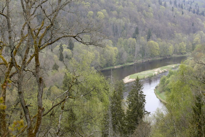 gauja_20170518