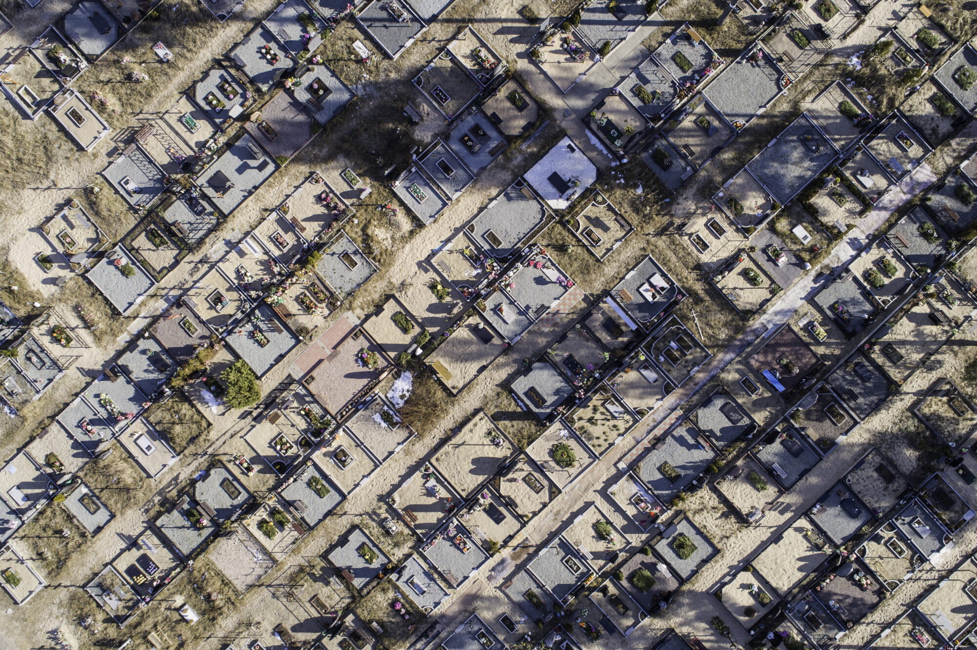 Bold_kaps_20190221