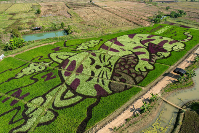 THAILAND-ART/RICE