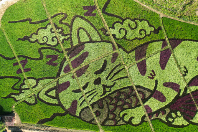 THAILAND-ART/RICE