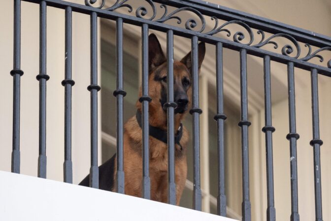 US-POLITICS-BIDEN-DOG