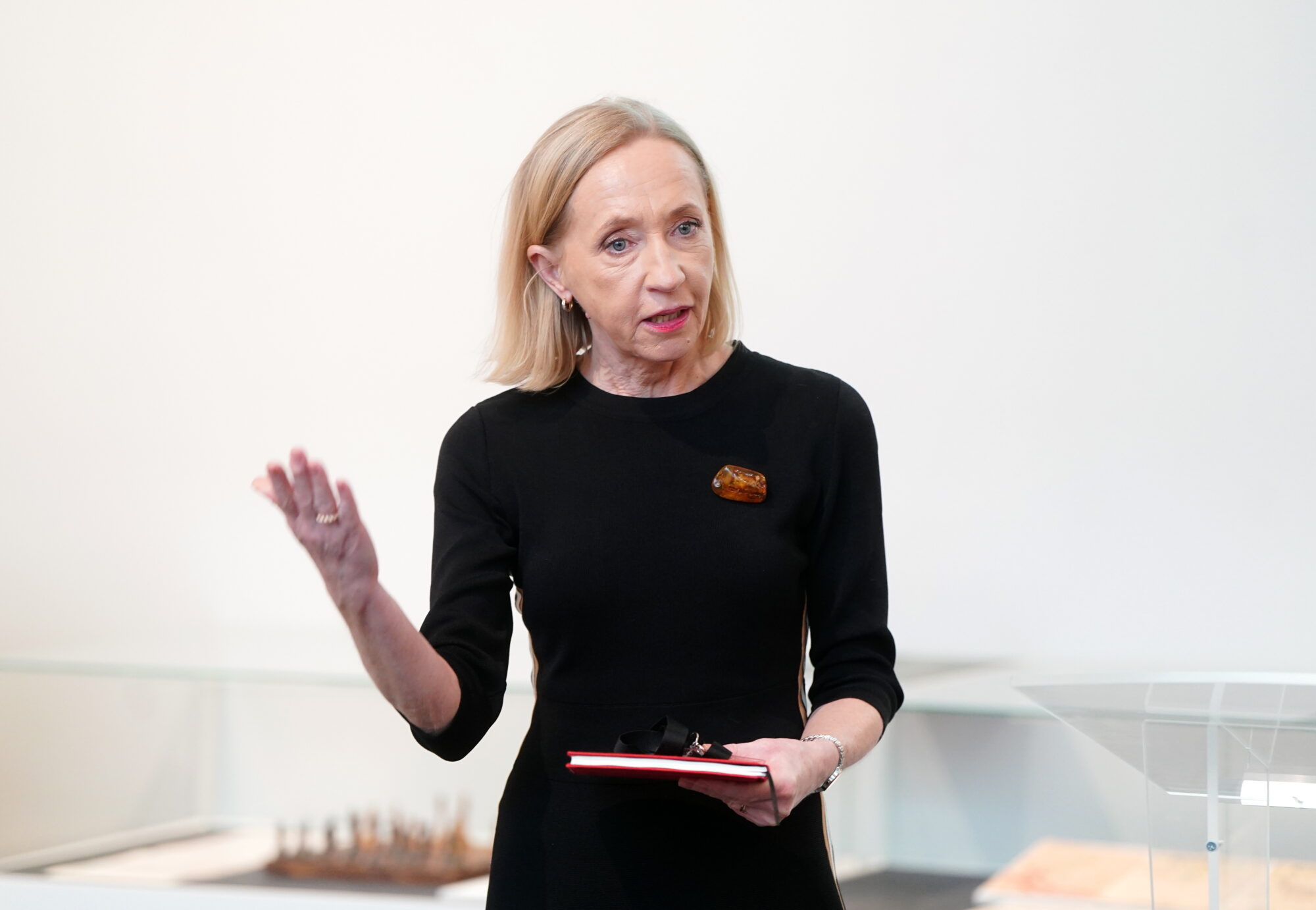 Solvita Vība