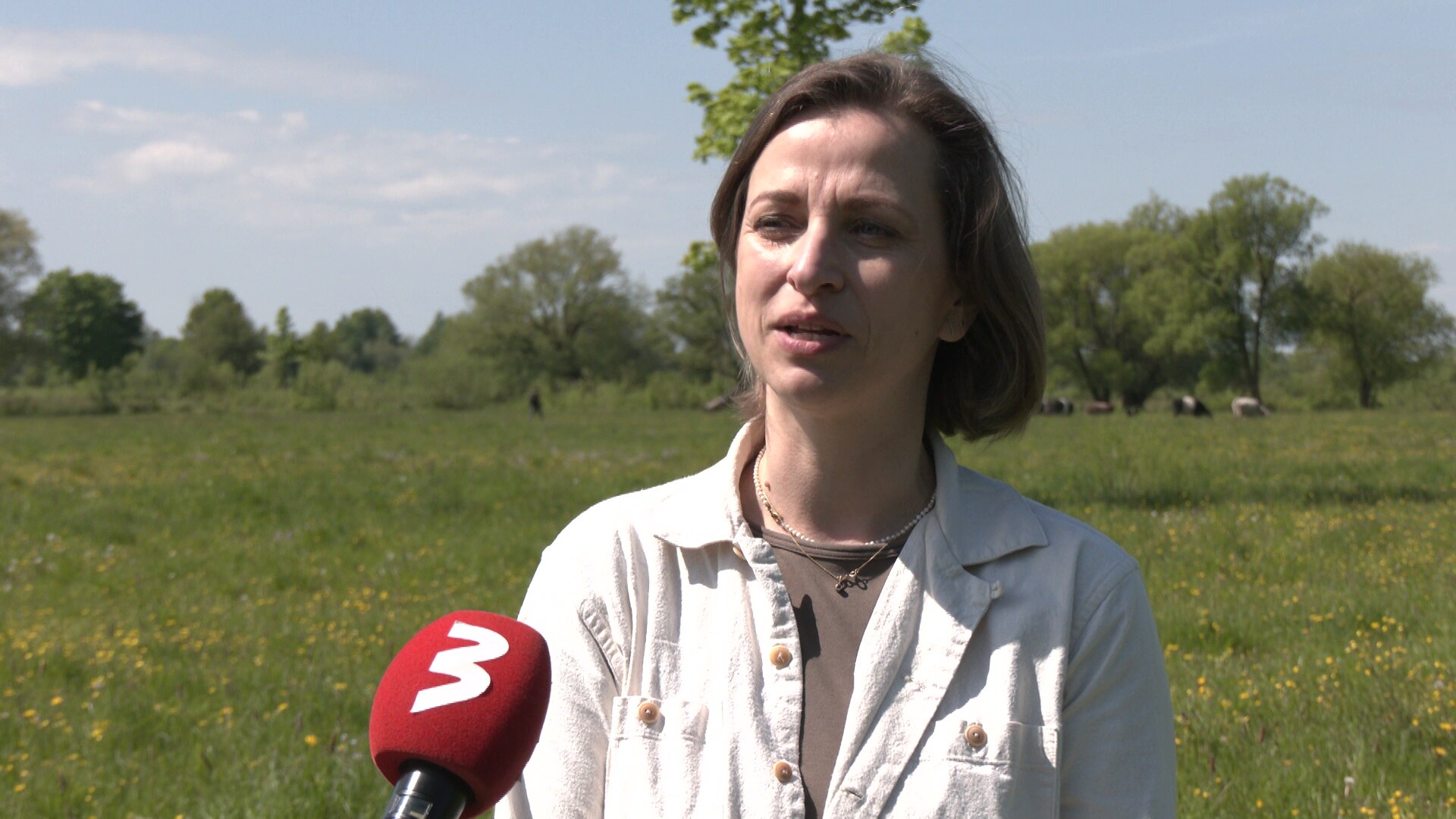 Liene Brizga-Kalniņa