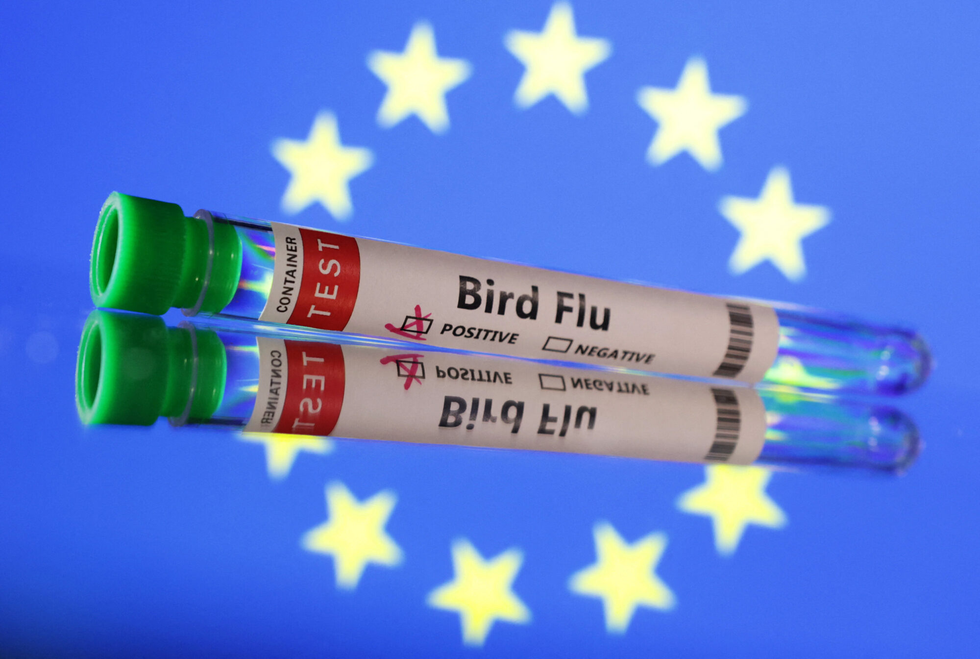 HEALTH-BIRD FLU/
