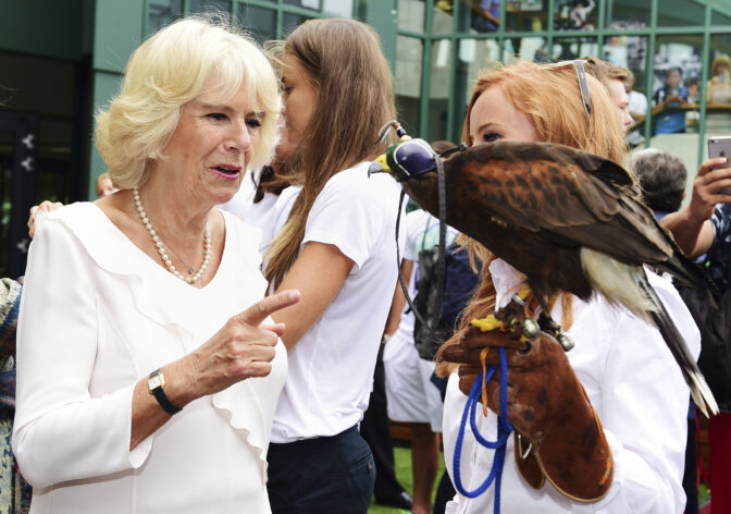 TENNIS-WIMBLEDON/
