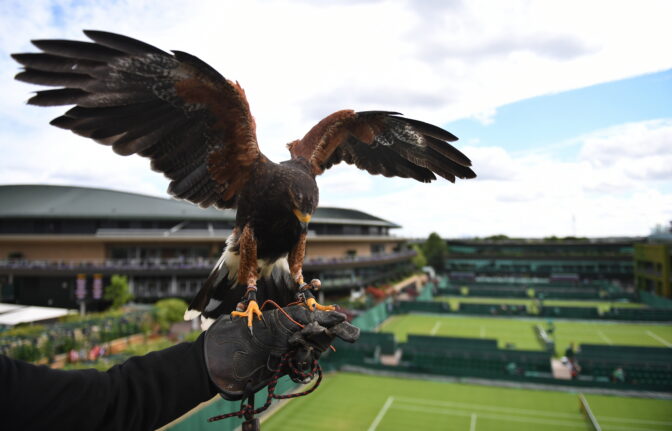 BRITAIN TENNIS WIMBLEDON GRAND SLAM 2022
