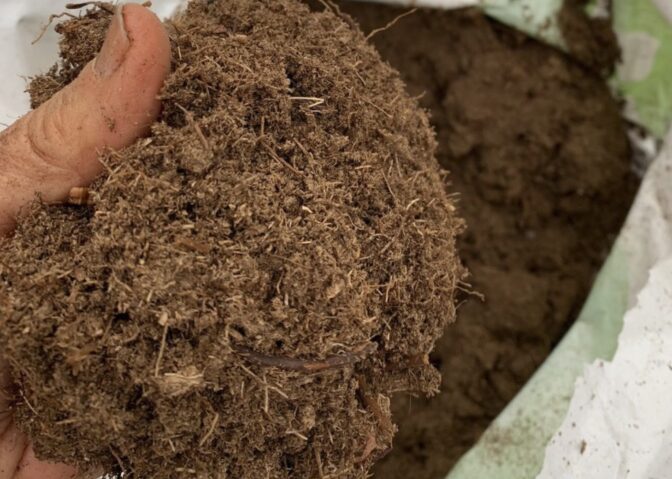 Gardening Peat Moss