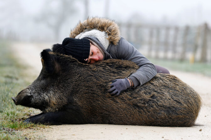 FRANCE-BOAR/