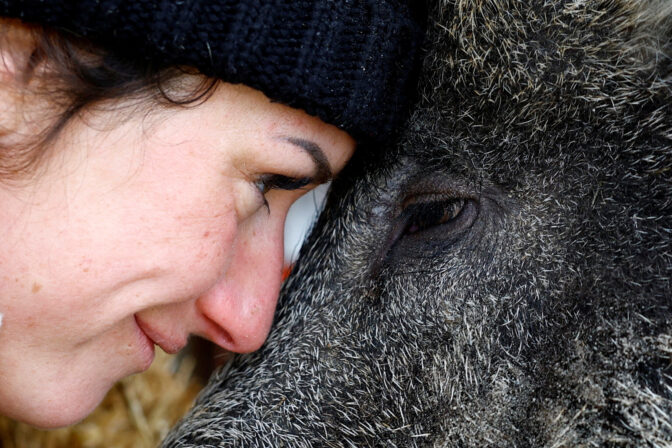 FRANCE-BOAR/
