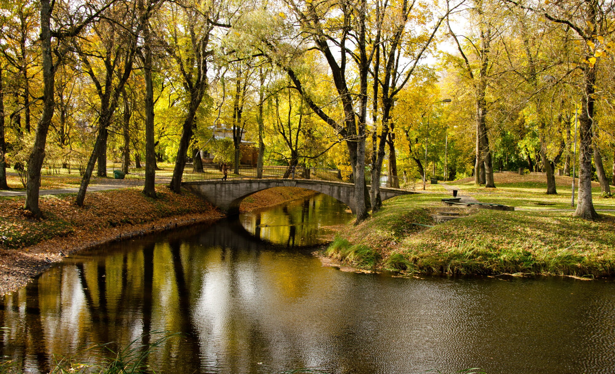 Jelgava rudenī