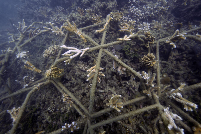COP27 Australia Great Barrier Reef
