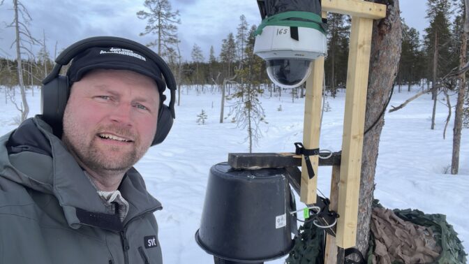 Sweden Great Moose Migration