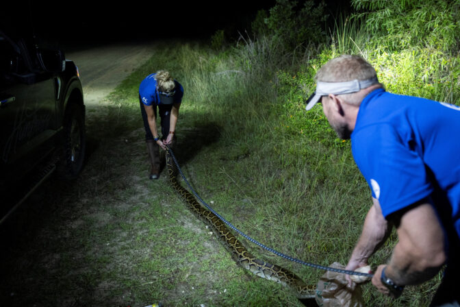FLORIDA-PYTHON/HUNTRESS